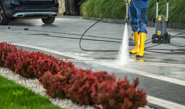 Local Pressure Washing Services in Lexington Park, MD